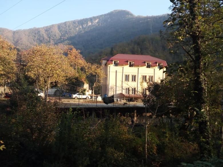 Загородные дома Guesthouse in Makhuntseti K'eda-9